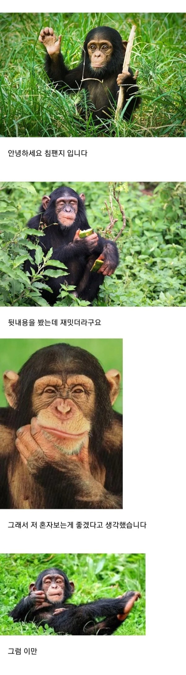16904484577903.png