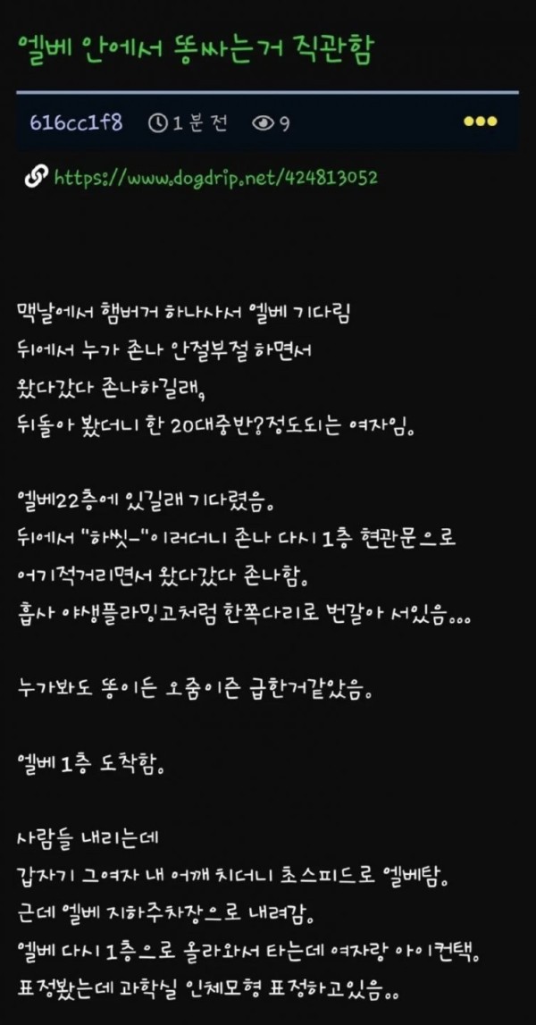 16904592611869.jpg