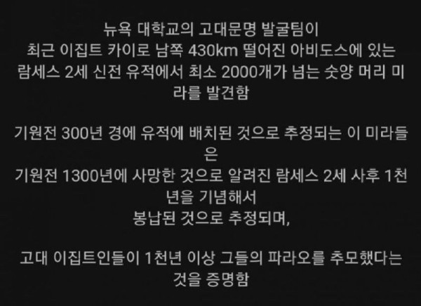 16904682528119.jpg
