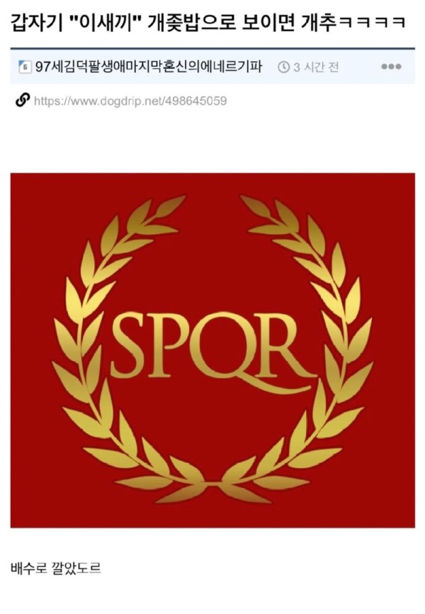 16905672562988.png