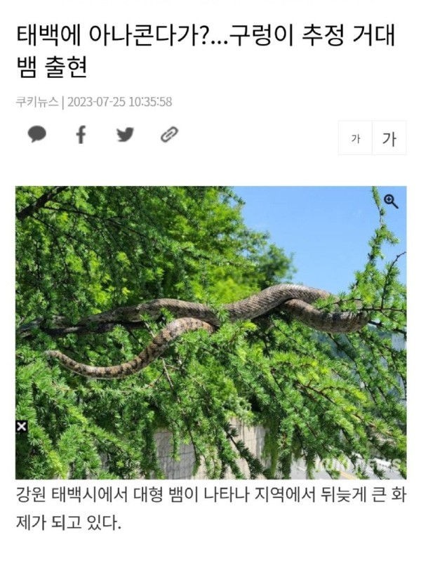 16907004763174.jpg