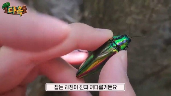 16907076690517.jpg