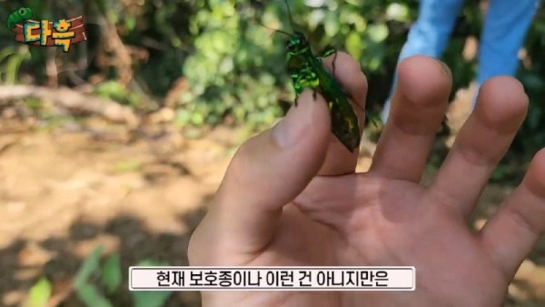 16907076702238.jpg