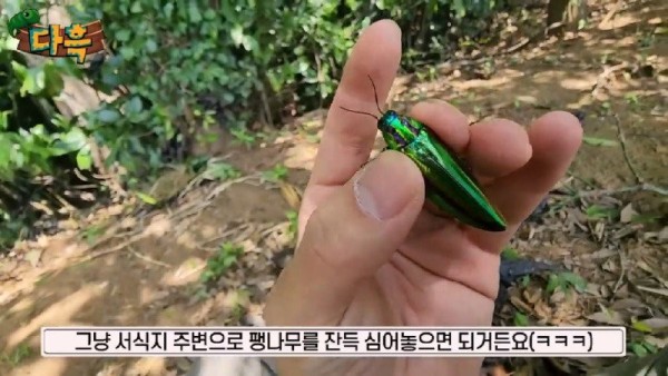 1690707673389.jpg