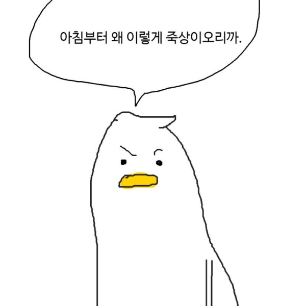 16907634600399.png