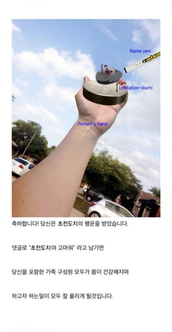 16907652572327.jpg