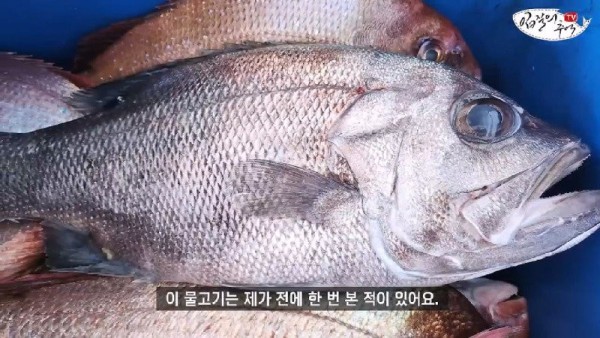 16908120584387.jpg