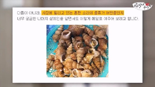 16908120612403.jpg
