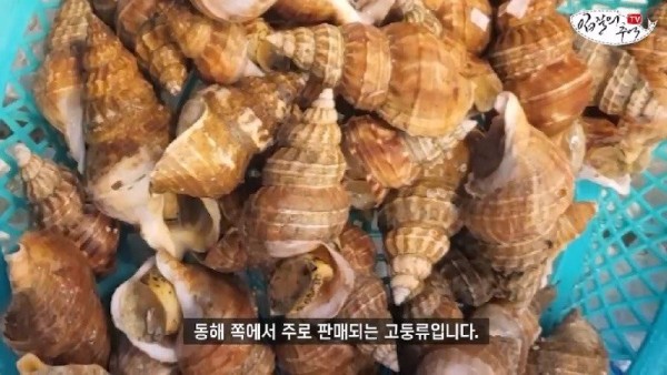 16908120616801.jpg