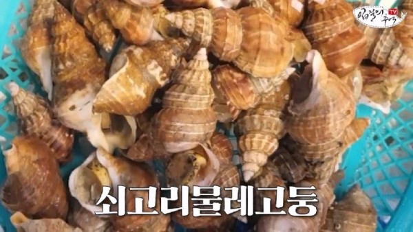 16908120625224.jpg