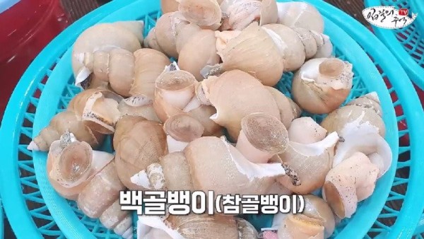 16908120633377.jpg