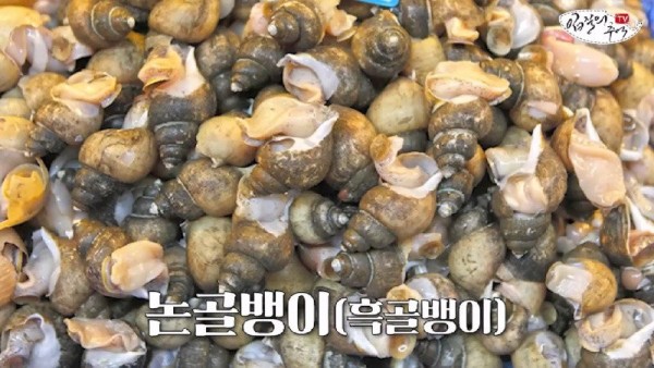1690812064729.jpg