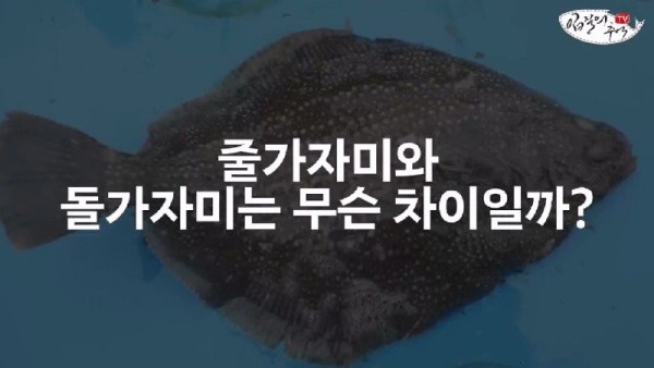 16908138594302.jpg