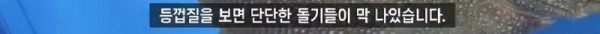 16908138601214.jpg
