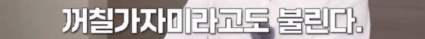 16908138603155.jpg