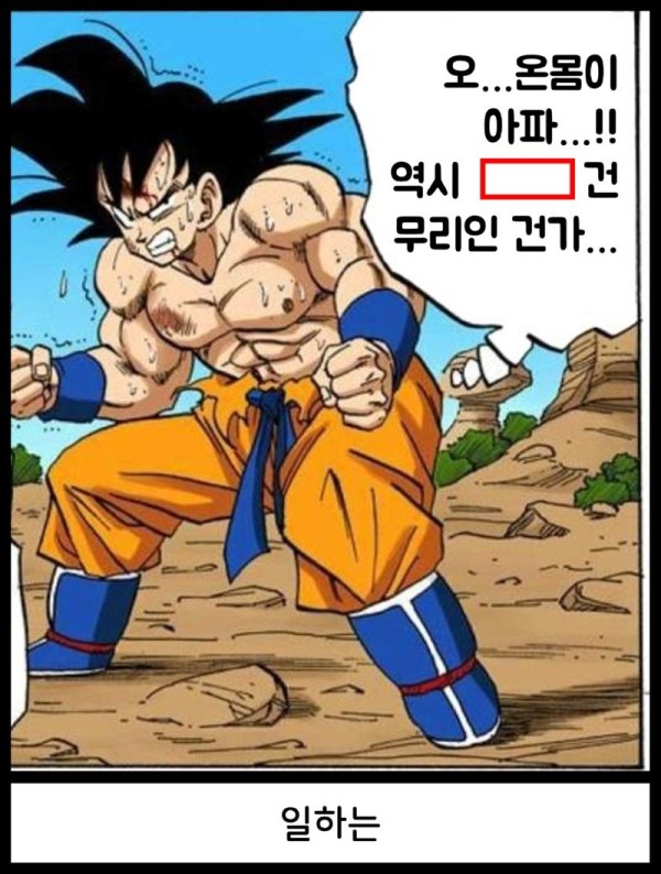 16911594649254.png