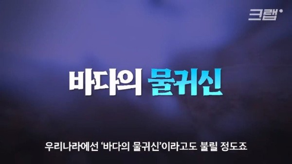 16913070732332.jpg