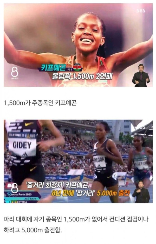 16917408854841.jpg