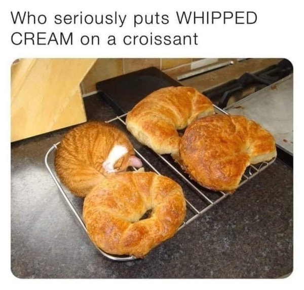 16919352874165.jpg