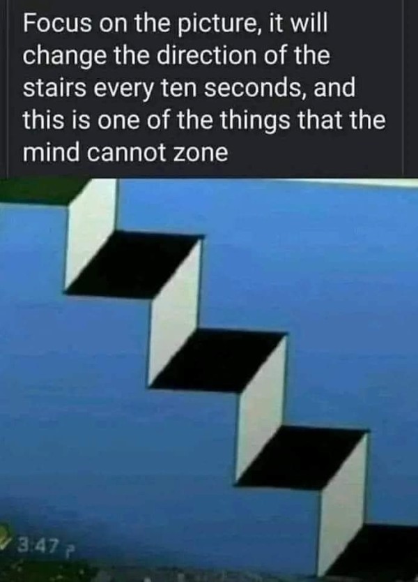 16921098731552.jpg