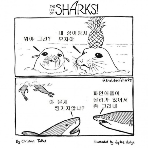 16921440765528.png