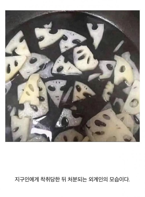 16921980763665.jpg