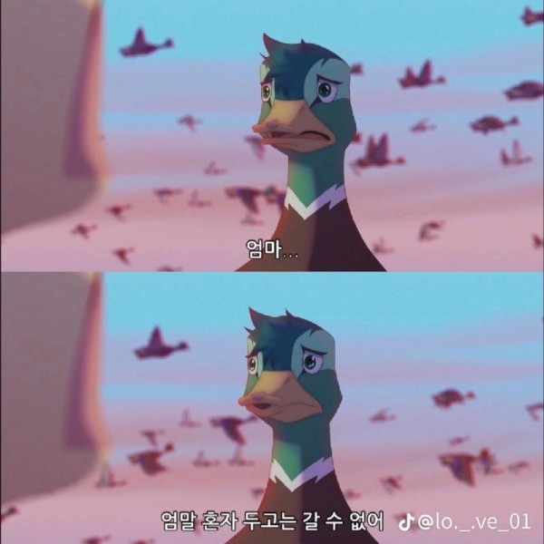 16925346736017.jpg