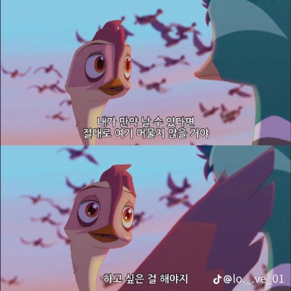 16925346758295.jpg