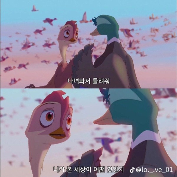 16925346775215.jpg