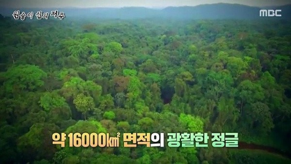 16928028778298.jpg