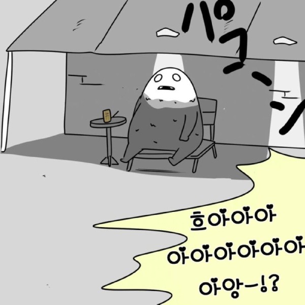 1692896493678.jpg