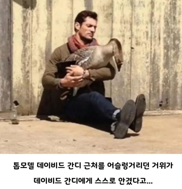 16930476793543.png