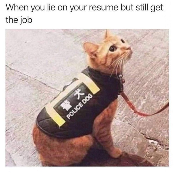 16931412883953.jpg