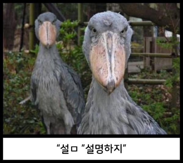 1693143080382.png