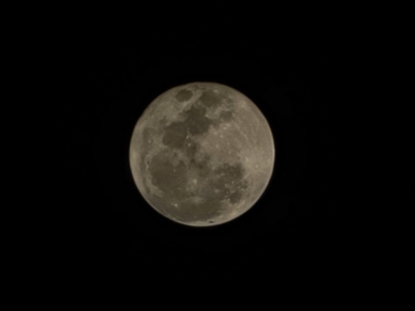 16935264803484.jpg