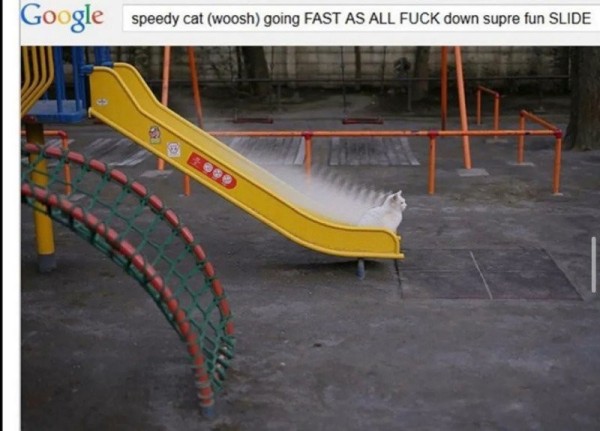 16936308771442.jpg