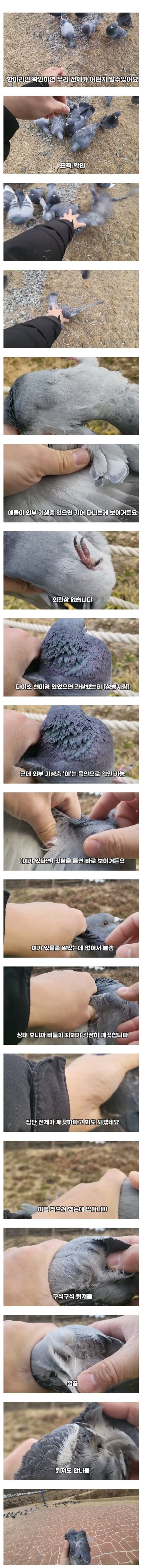 1693717279735.jpg