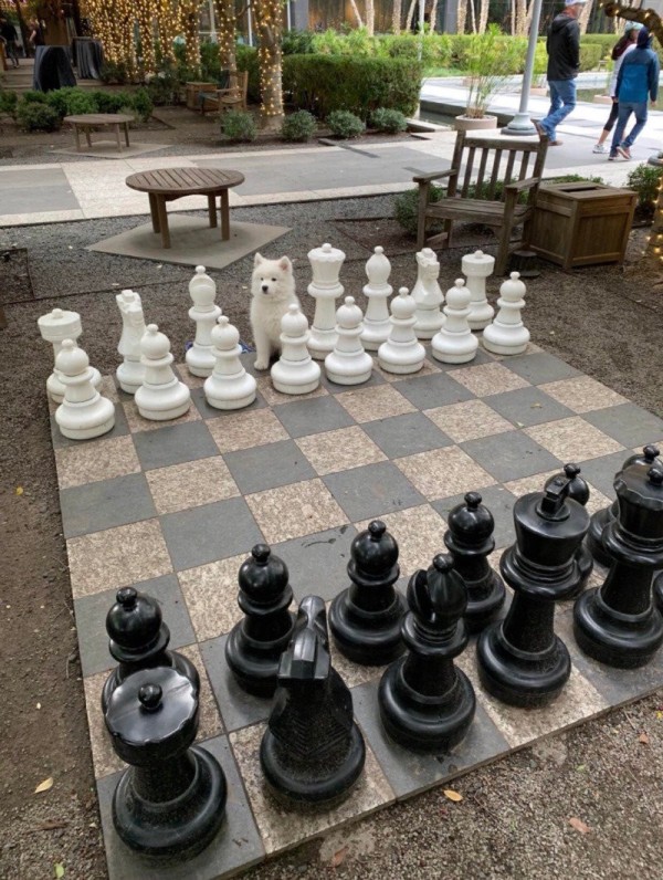 16937388755601.jpg
