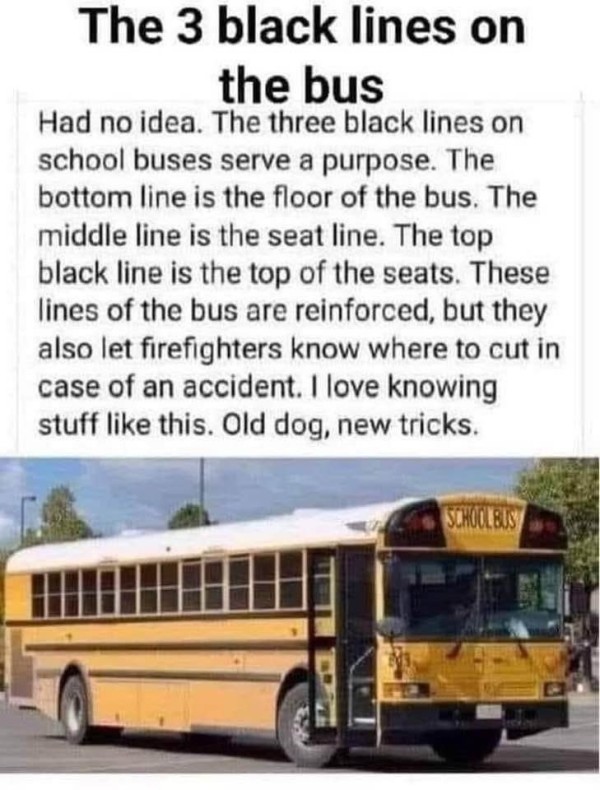 16937820725288.jpg