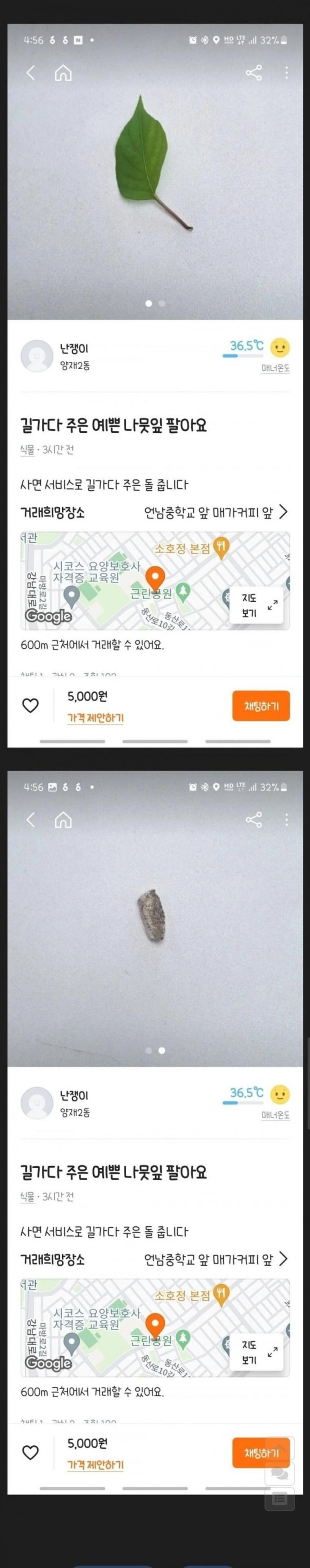 16939135056904.jpg