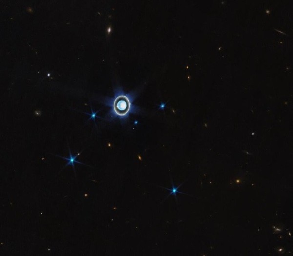 16940790966625.jpg