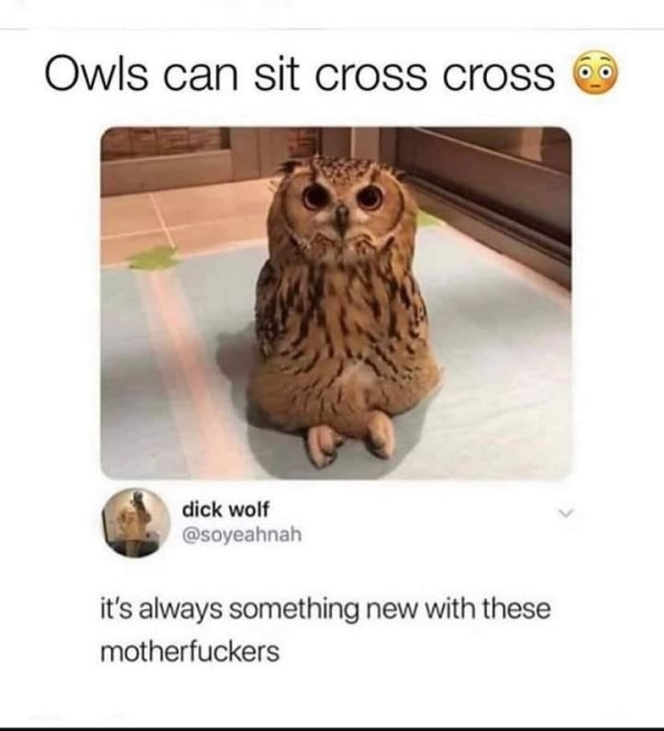 1694147501009.jpg