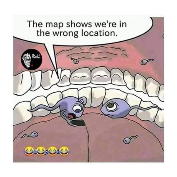 16944462951518.jpg