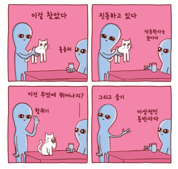 1694647905249.jpg