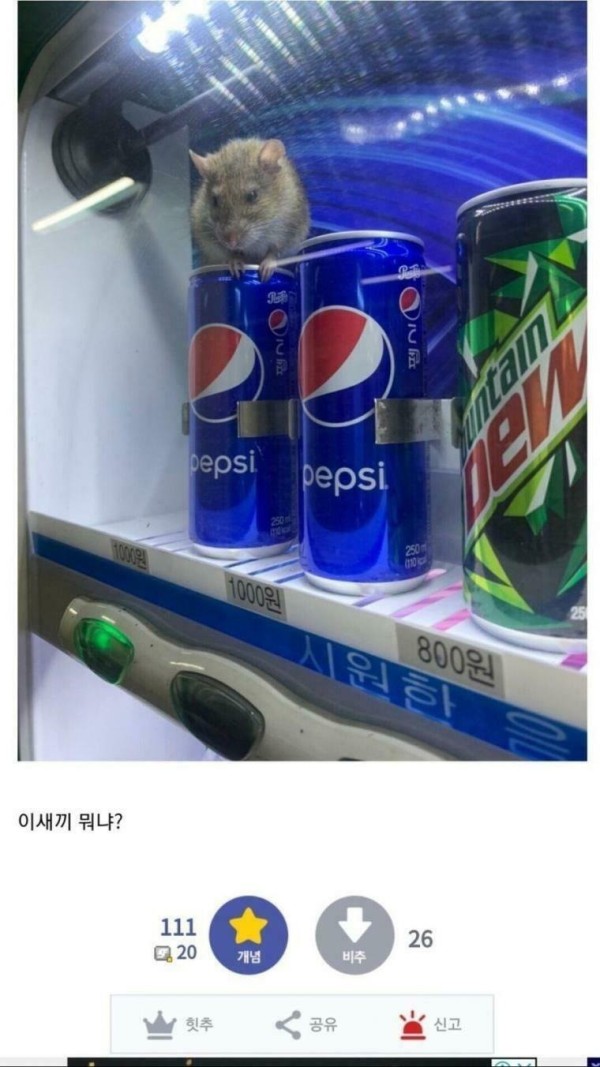 16948009053723.jpg
