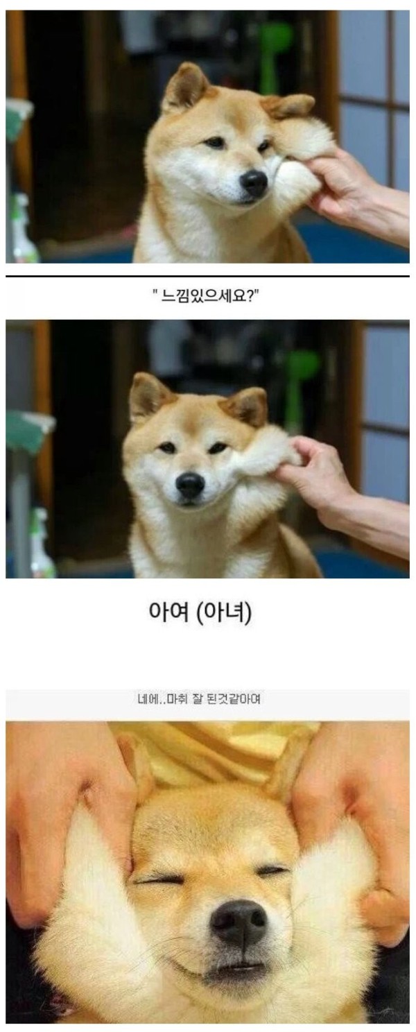 16948512413445.png