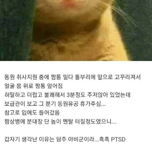 16949664789822.jpg