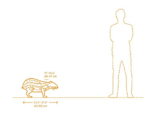 16953426986587.jpg