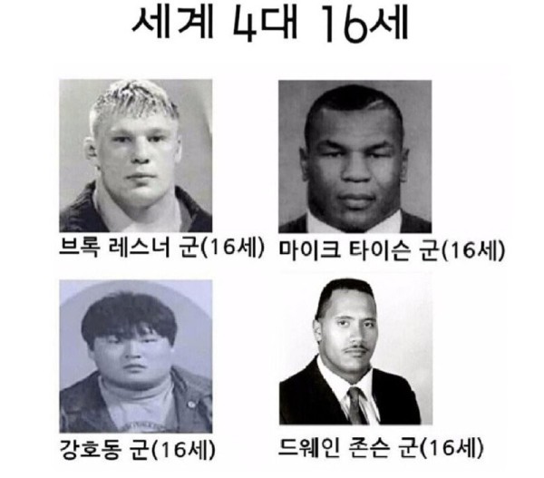 16955443059686.jpg