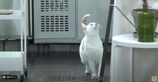 16955712568609.png
